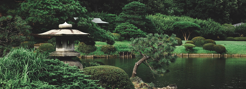 Zen Garden