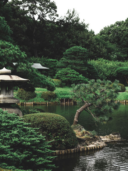 The century of cities