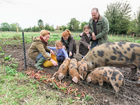 Fair Versus Equal: Who Gets the Farm?