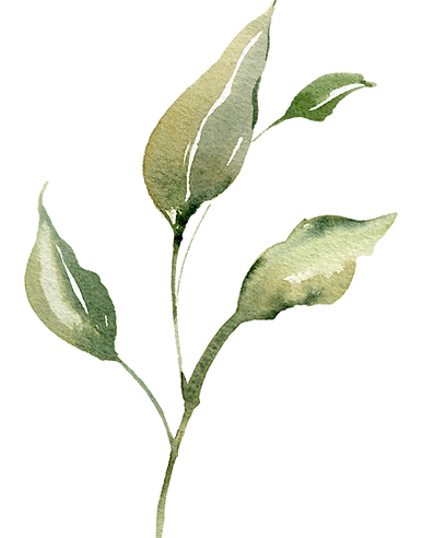 Feuille verte aquarelle