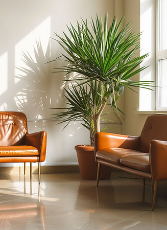 Upscale Waiting Room