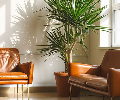 Modern Interior Decor