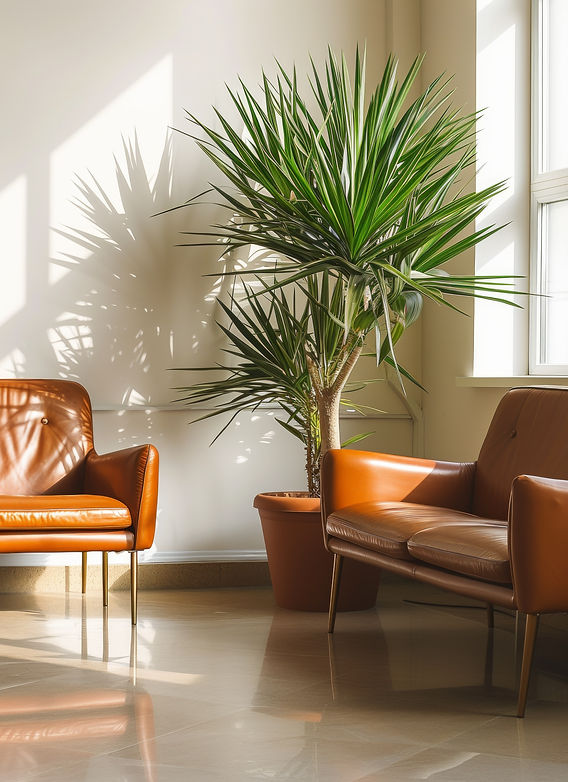 Upscale Waiting Room