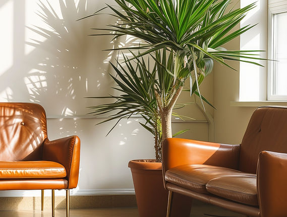 Modern Interior Decor