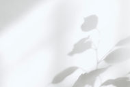 Silueta de sombra de planta