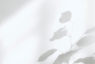 Shadows on the Wall