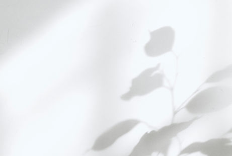 Plant Shadow Silhouette