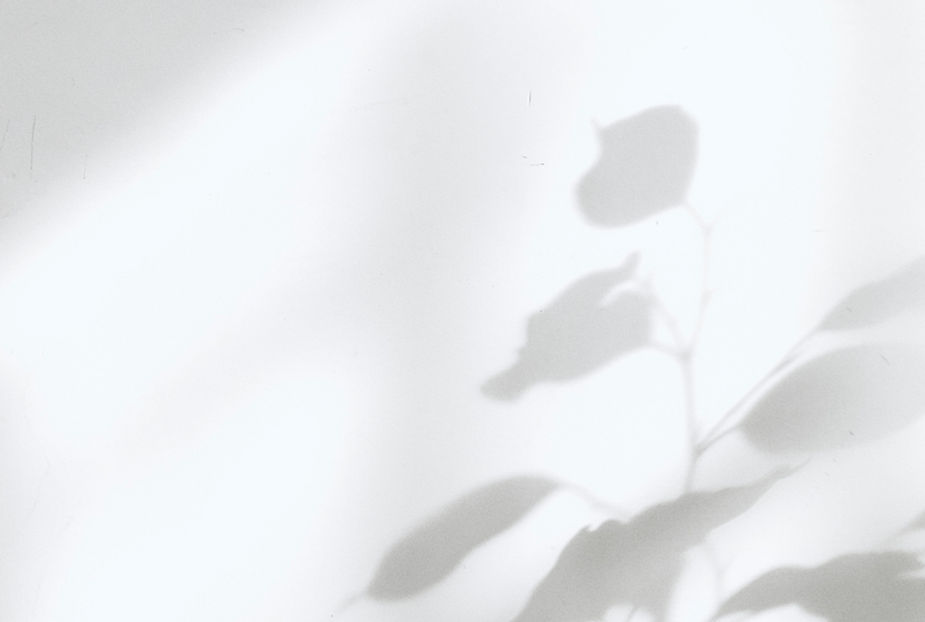 Shadows on the Wall