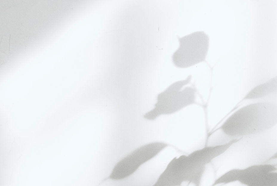Plant Shadow Silhouette