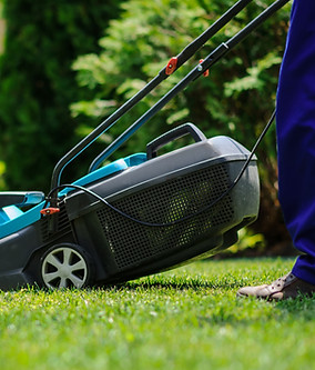 gardencleaning.jpg