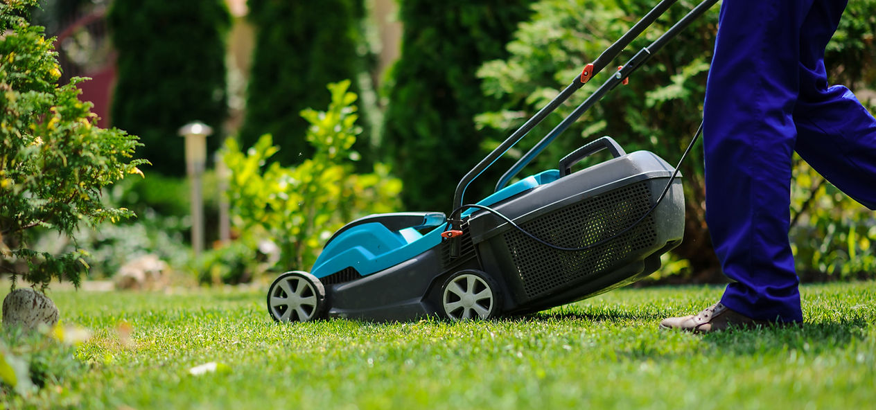 A person in blue pants pushes a green and black lawn mower on a bright green lawn, surrounded by lush bushes and trees, under a sunny sky.