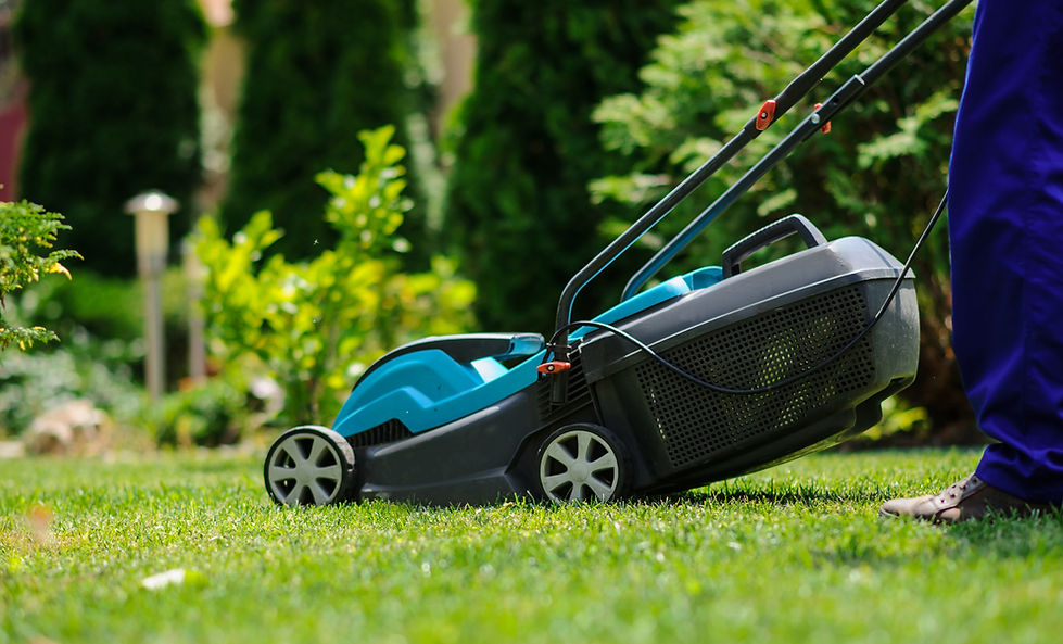 Plenklipping Aktivitet