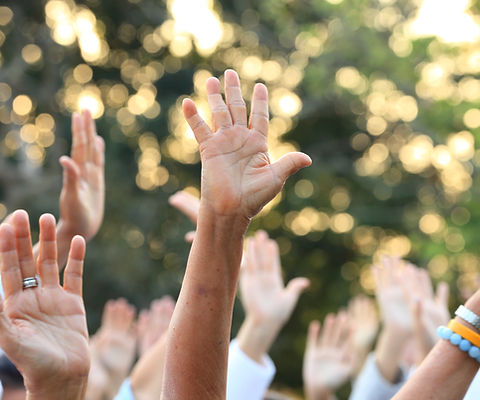 Hands Up