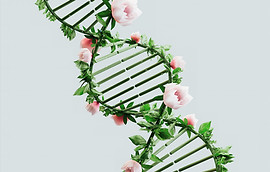 Floral DNA Helix