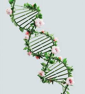 Floral DNA Helix