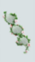 Floral DNA Structure