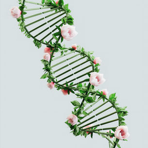 11-14 Trọng Trách Dòng Dõi Thánh