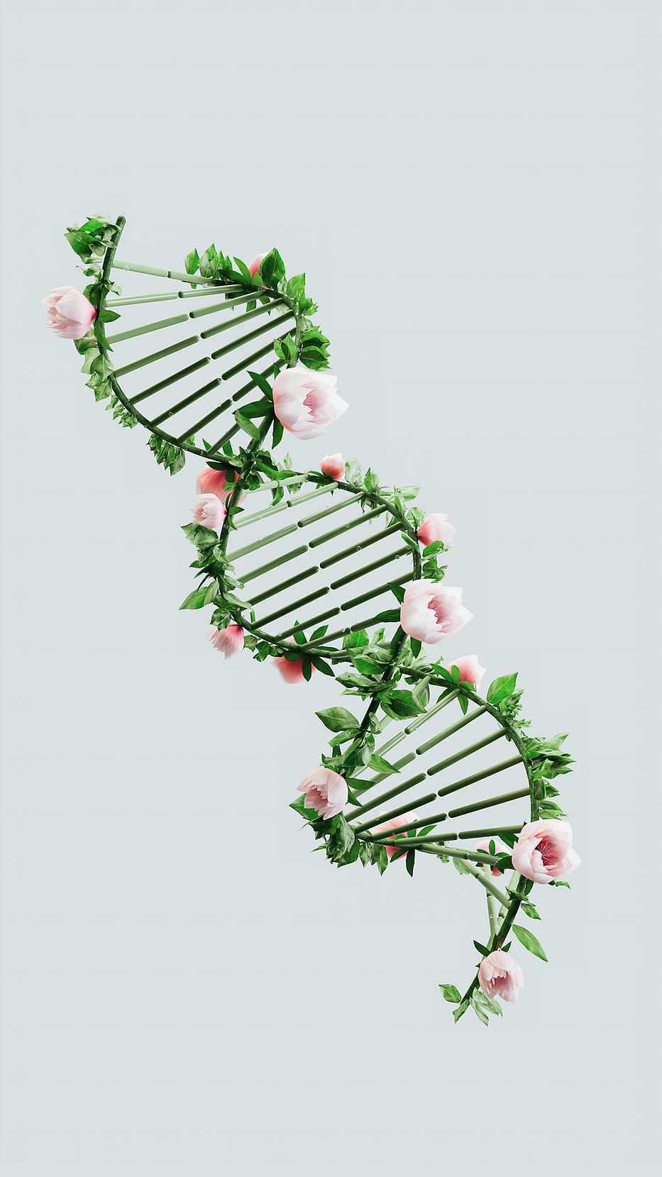 Floral DNA Helix