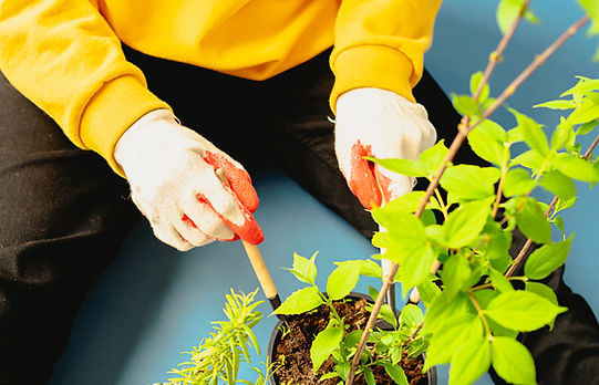 Green Thumb
