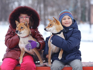 two shiba inu dogs and their owners in winter