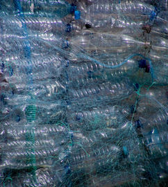 Microplastics and Your Health: What New Research Reveals About Plastic and Water