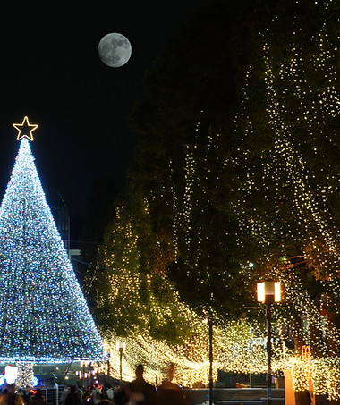 Árvore de Natal grande