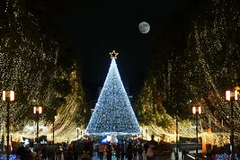 Proposal Planners Sydney