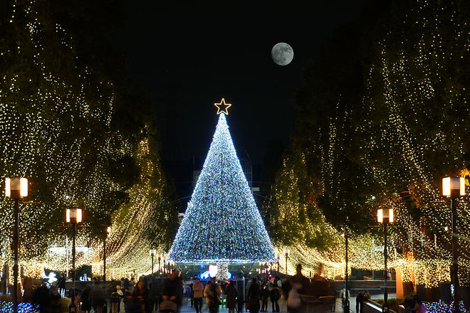 Grand arbre de Noël