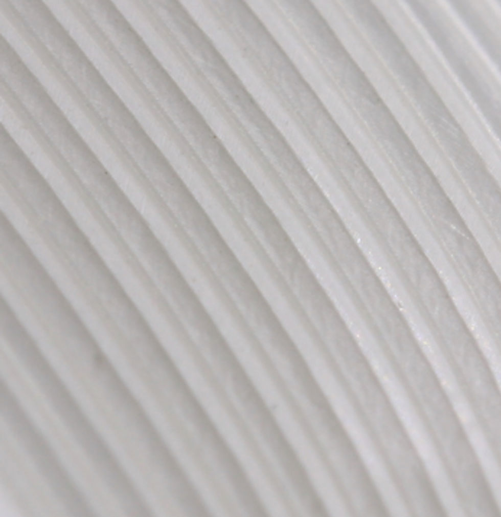 White Feather