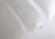 White Feather