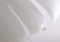 White Feather