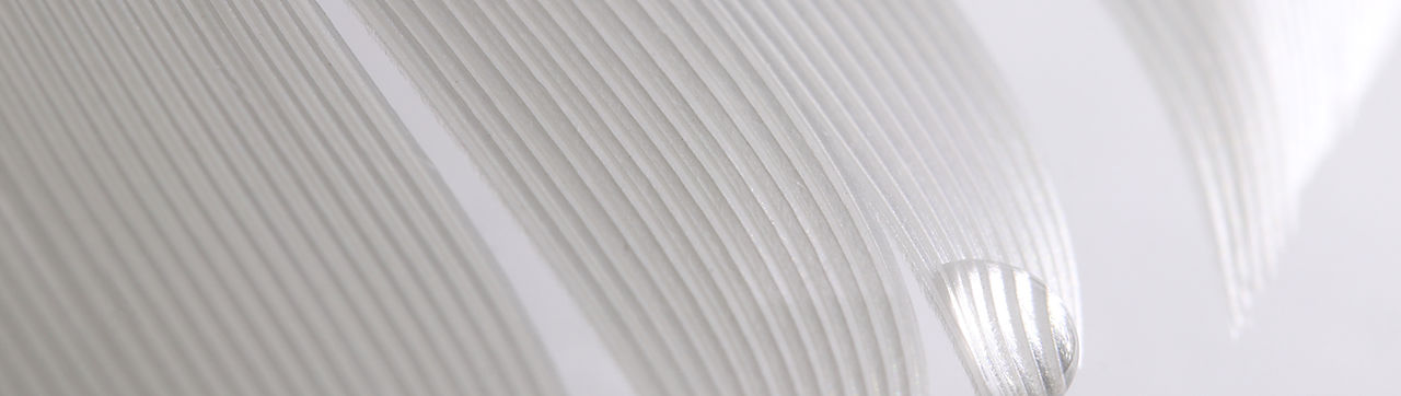 White Feather