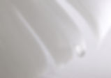 White Feather