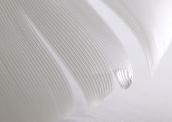 White Feather