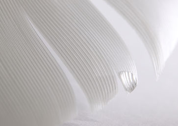 White Feather