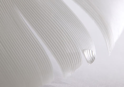 White Feather