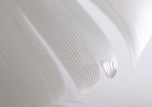 White Feather