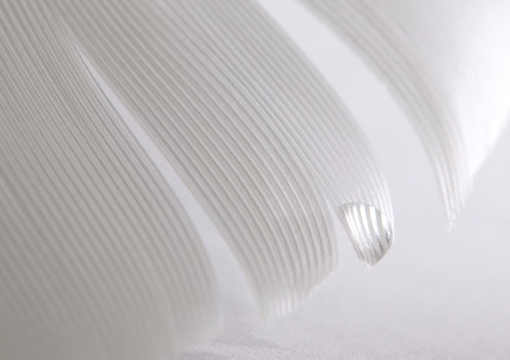 White Feather