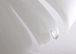 White Feather