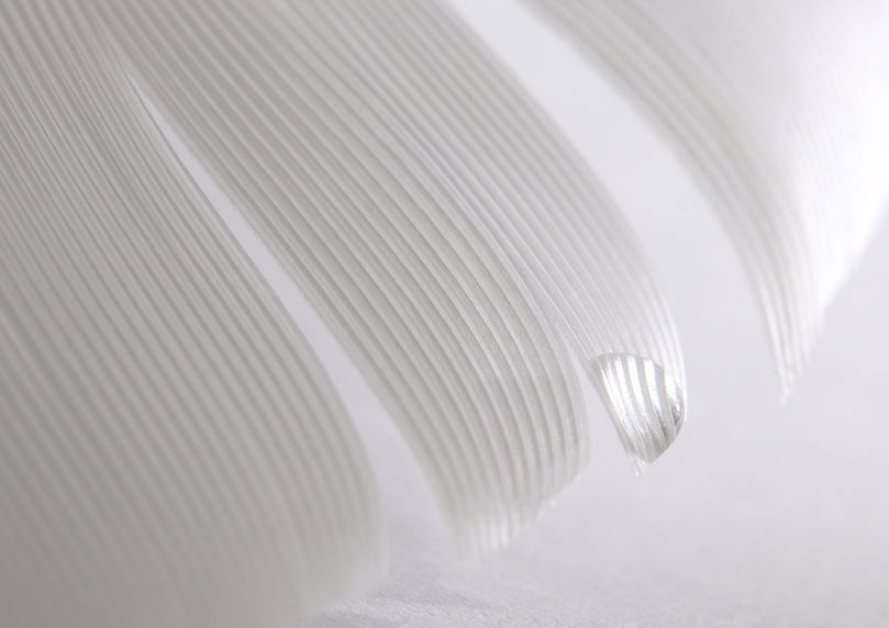 White Feather