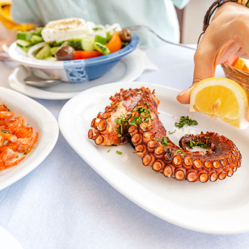 Miami Seafood Month: A Taste of the Ocean in Every Bite