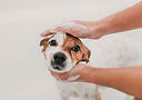Having a Bath