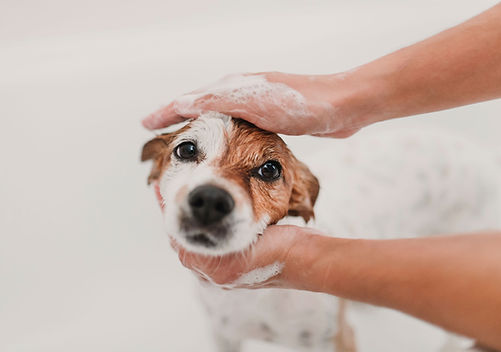 Having a Bath   