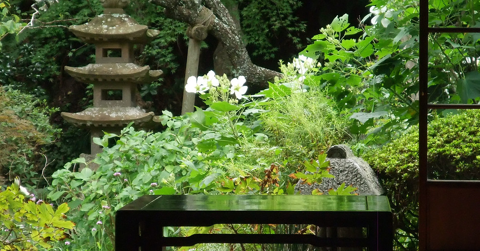 Japanese Garden