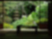 Japanese Garden