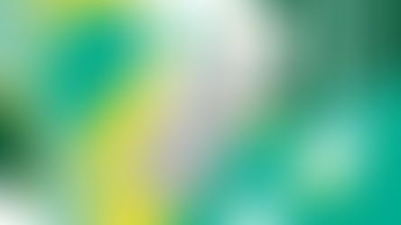 Nouvelle borne de recharge électronique (Hôtel Alexander)