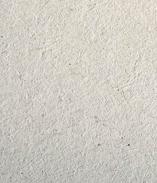 Textured Paper Surface