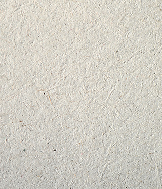 Textured Paper Surface