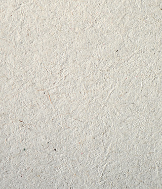 Textured Paper Surface