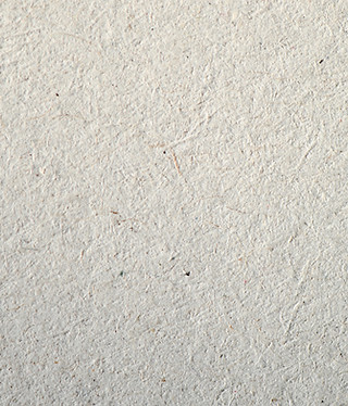 Textured Paper Surface